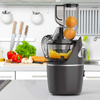 Easy Clean Cold Press Wide Chute 76 Mm Slow Masticating Juicer Ice Cream Smoothie Dessert Maker Machine