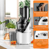 Easy Clean Cold Press Wide Chute 76 Mm Slow Masticating Juicer Ice Cream Smoothie Dessert Maker Machine