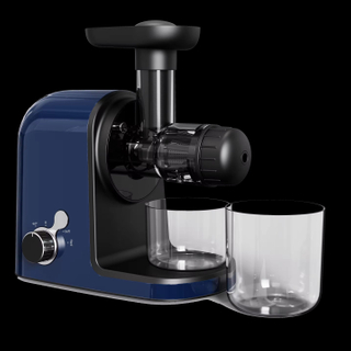  Cold Press Juicer Compact Powerful Slow Juicer 150W 250W with Super Fine Strainer for Pulp-free Juice