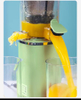 Kitchen Appliances Slow Citrus Carrot Electrical 4 in 1 Juicer Blender Orange Press Lemon Juicer Machine