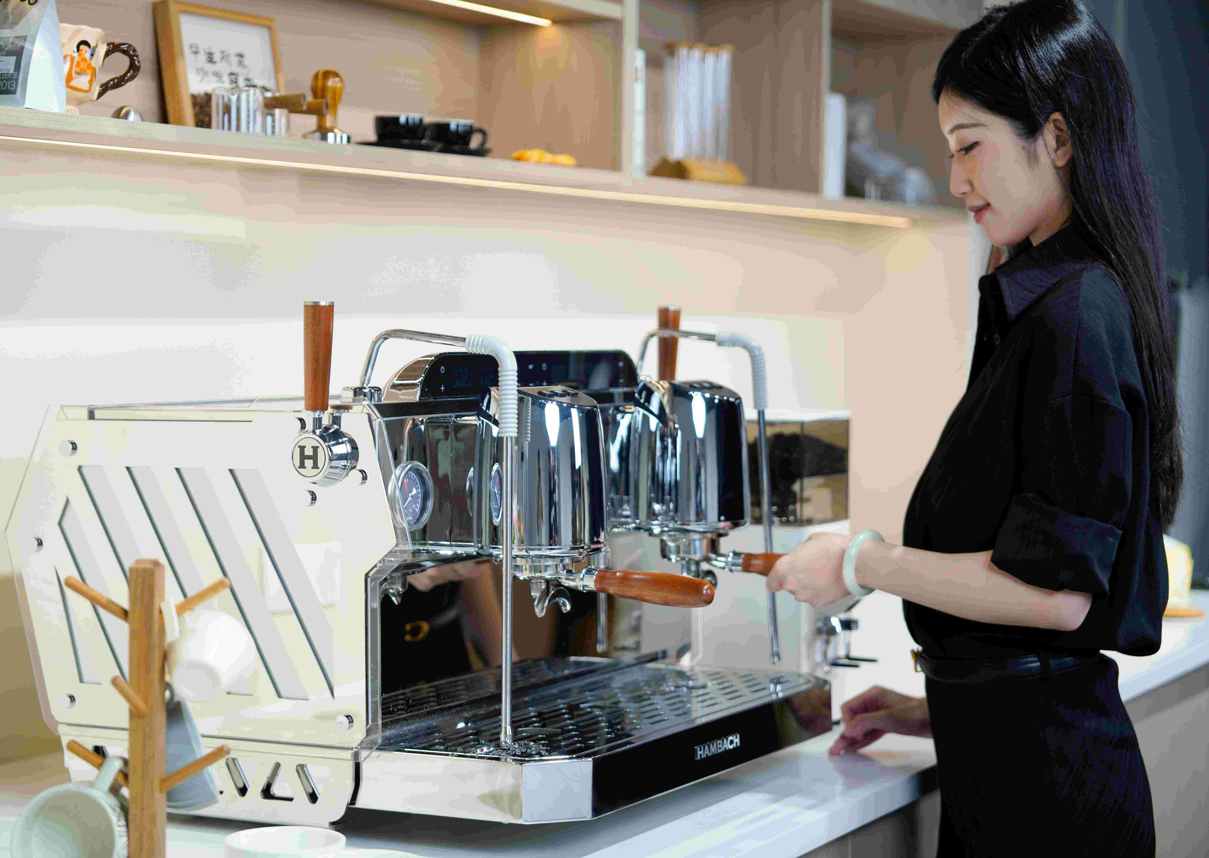 Commercial Coffee Making Price Espresso Machine