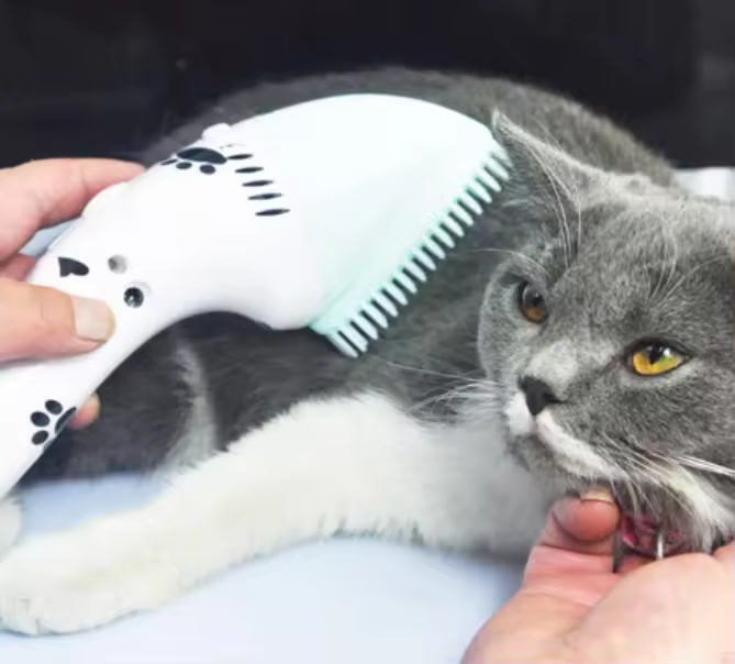 Electrical Portable Mini Size Vacuum Pet Hair Mini Vacuum Cleaner for Pet