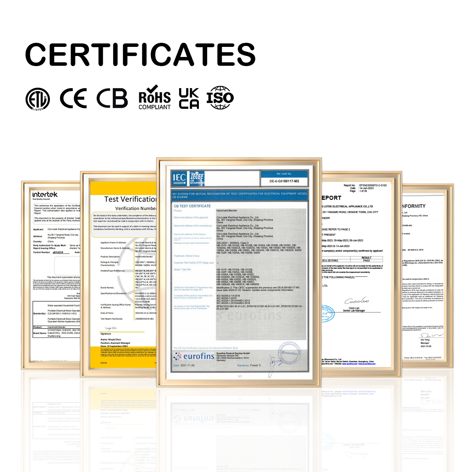 Electrical Mini Meat Grinder with Juicer Function Plastic Housing for Mincing Meat